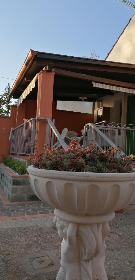 Casa Vacanze Mimose Palinuro Εξωτερικό φωτογραφία