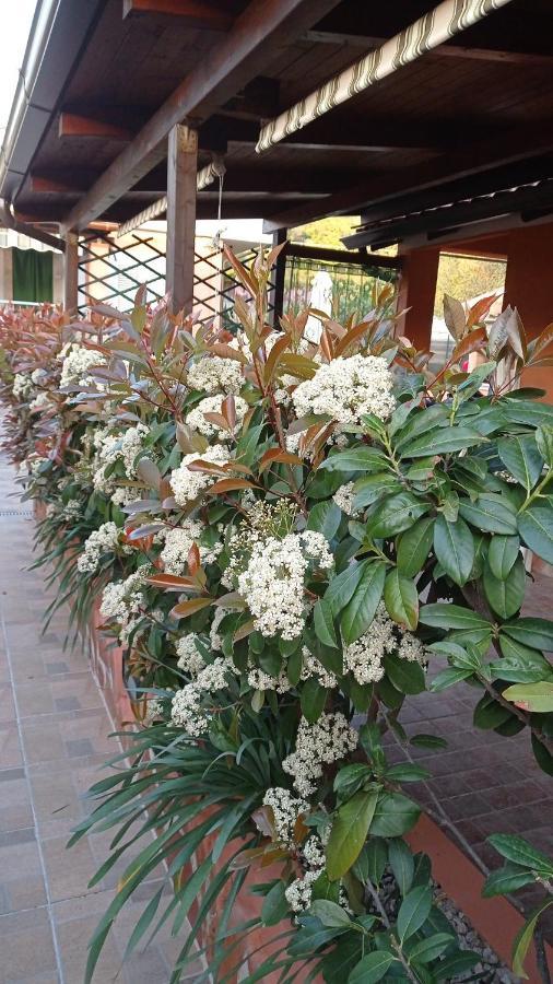 Casa Vacanze Mimose Palinuro Εξωτερικό φωτογραφία